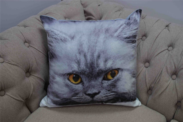 A luxurious velvet cushion featuring a cute photographic persian cat with amber eyes
