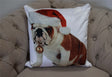 A festive Christmas velvet cushion measuring 43x43cm featuring a playful bulldog with a bauble
