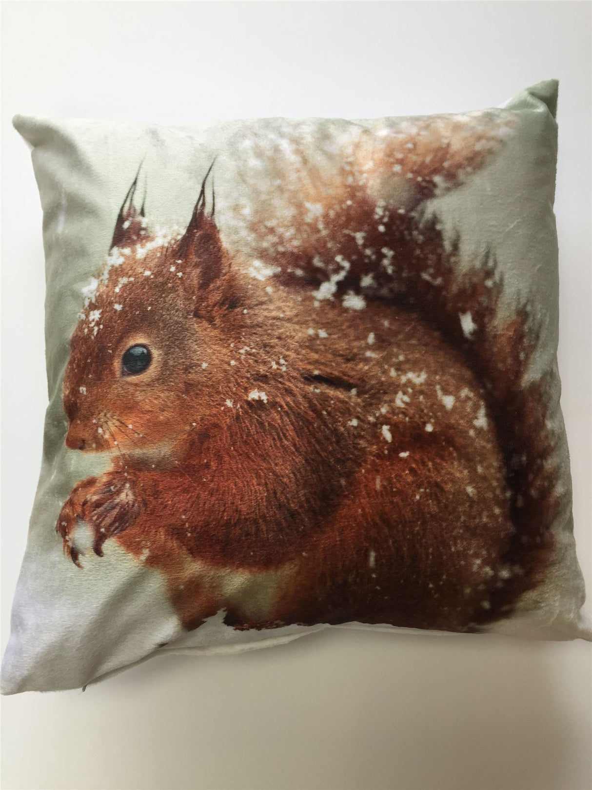 A detailed and high-quality image of a 43X43cm multi-coloured squirrel filled cushion