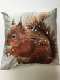 A detailed and high-quality image of a 43X43cm multi-coloured squirrel filled cushion